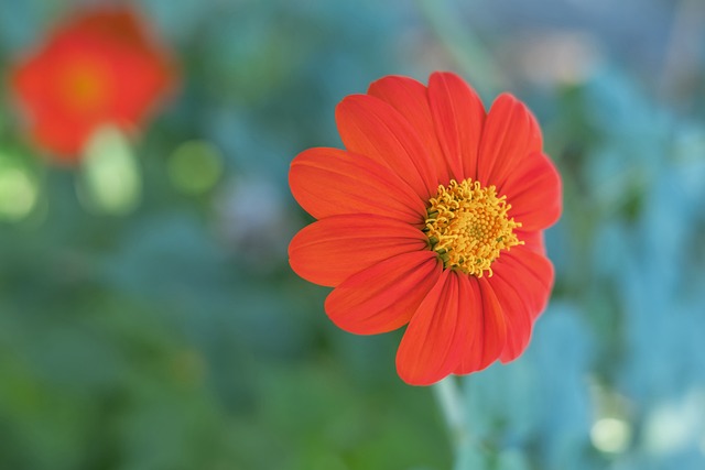 世体：戴上面具的加西亚像个超级英雄，他是弗里克的王牌球员