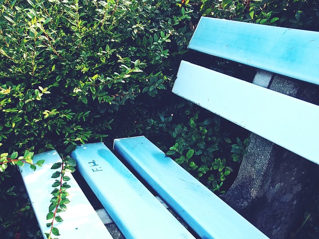 意媒：曼联只想纯租借梅努，球员本人愿意以此方式前往意甲